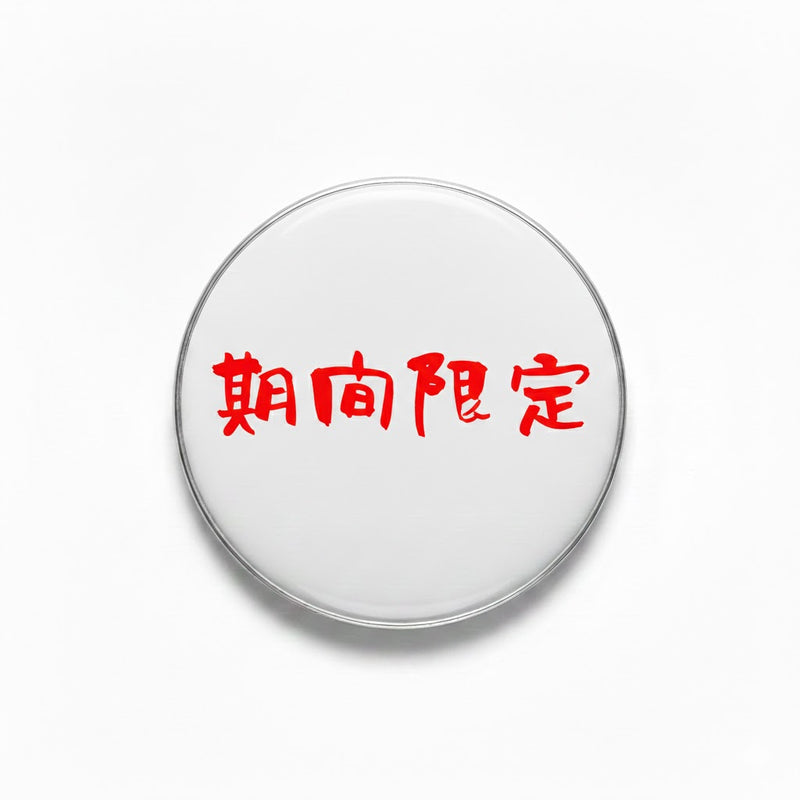 Slide image 4
