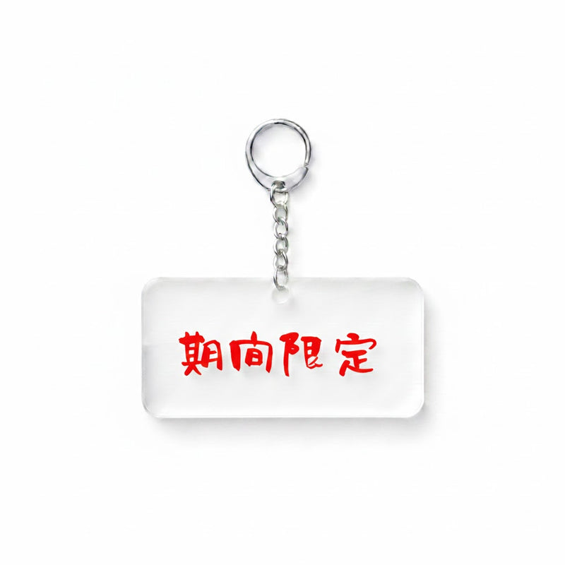 Slide image 4
