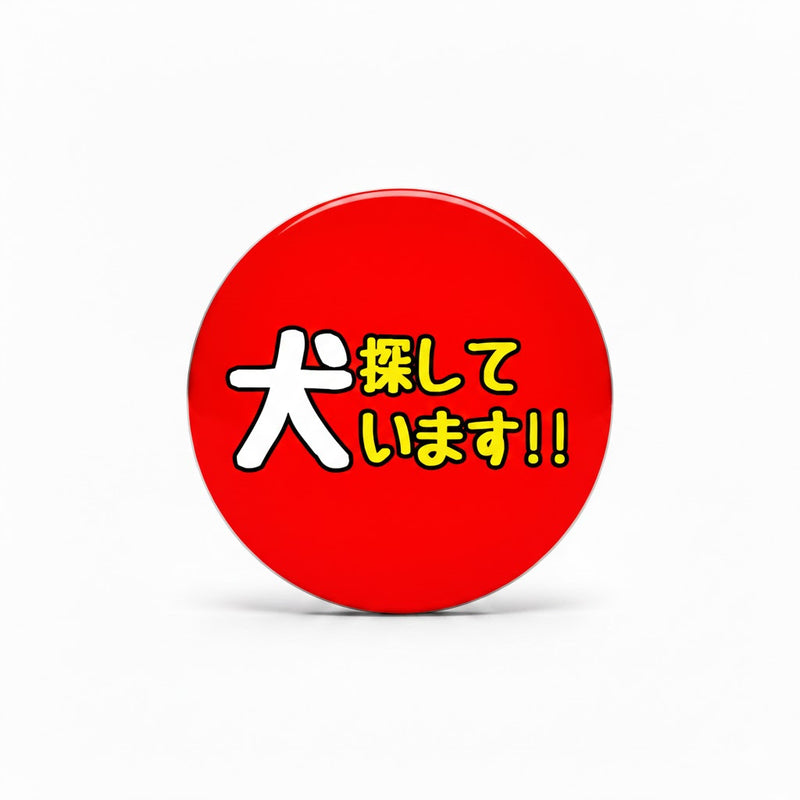 Slide image 4
